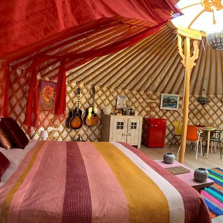 Zonnemaire Overnachten In Een Luxe Yurt! מראה חיצוני תמונה